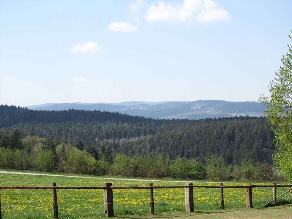 Ferienhaus Zopfhaeusl Villa Böbrach Dış mekan fotoğraf